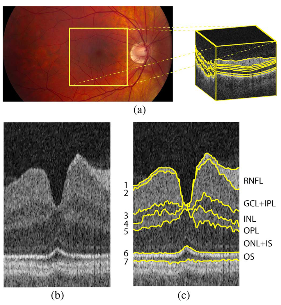 Fig. 5