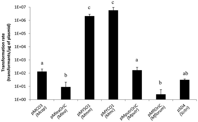 Figure 2.