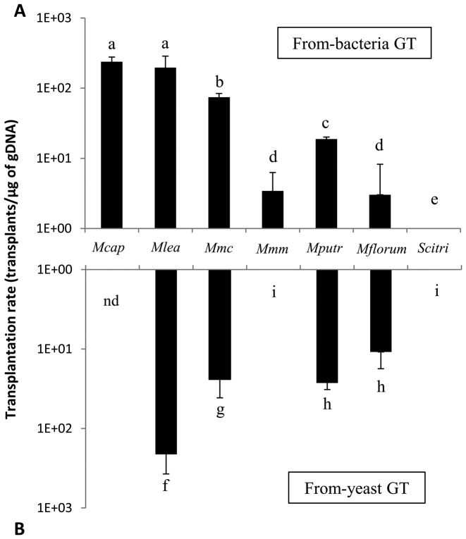 Figure 5.