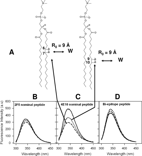 FIG. 6.