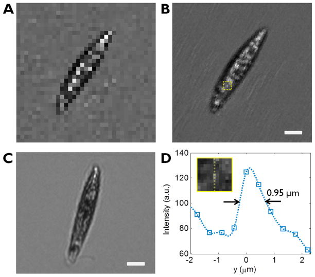 Figure 2