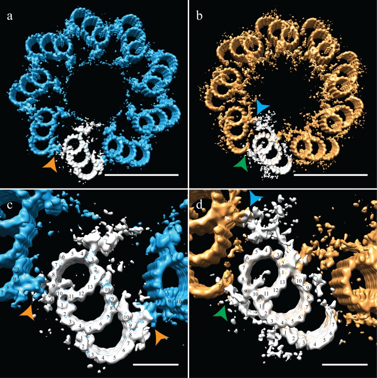 Figure 4.