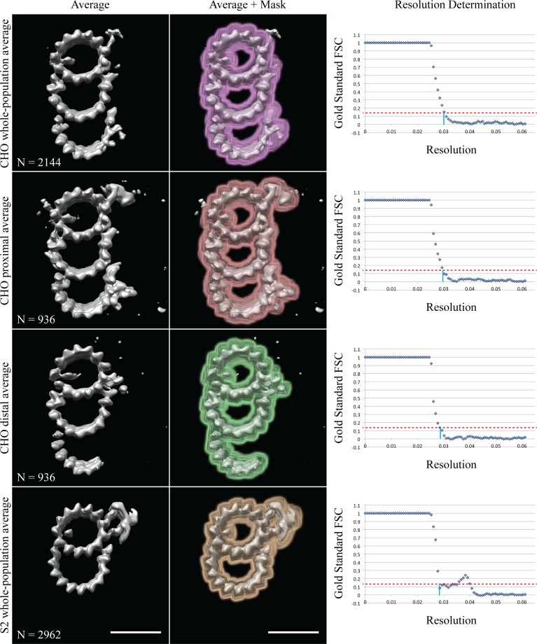 Figure 1—figure supplement 2.