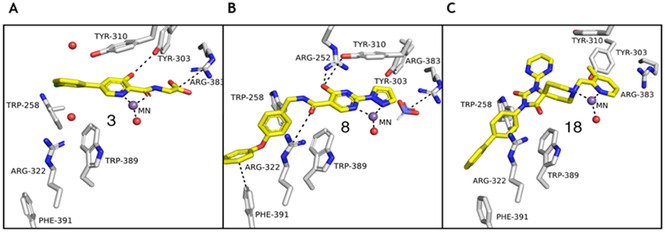 Figure 2