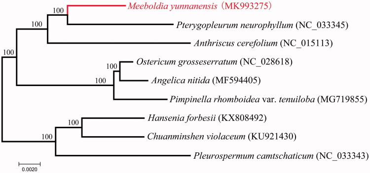 Figure 1.