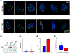 Figure 7: