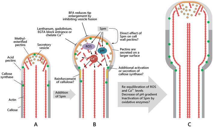 Figure 13