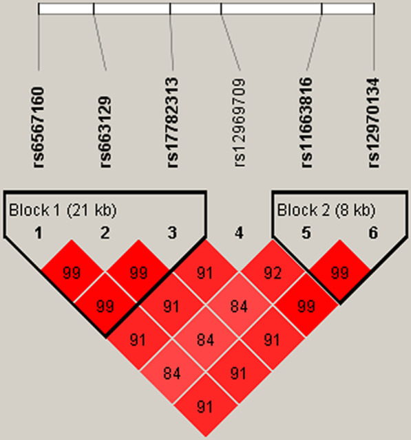 Fig. 2