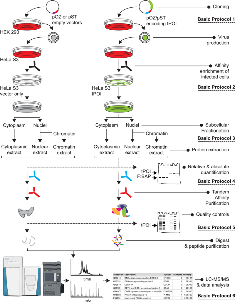 Figure 1:
