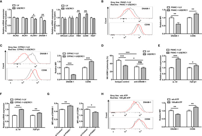 Figure 5