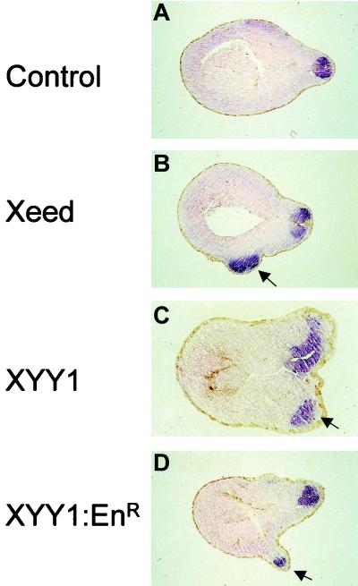 FIG. 8