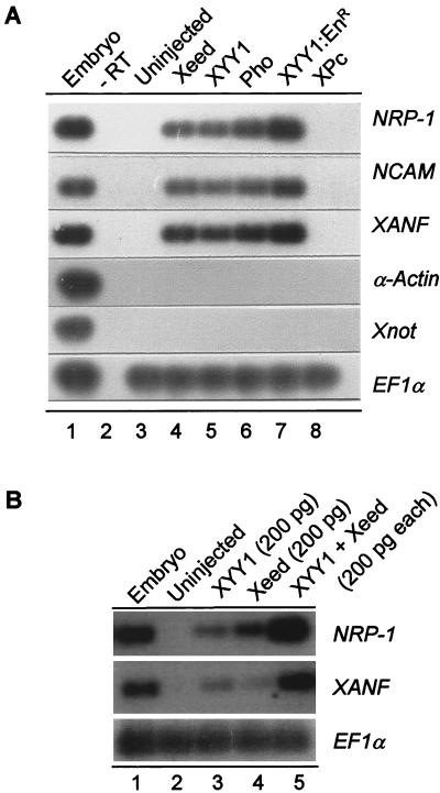 FIG. 9