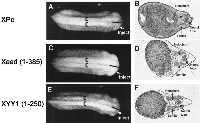 FIG. 7