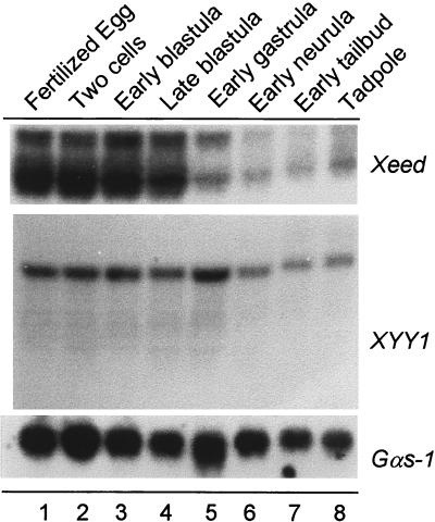 FIG. 5