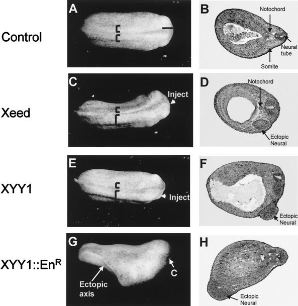 FIG. 6