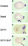 FIG. 8
