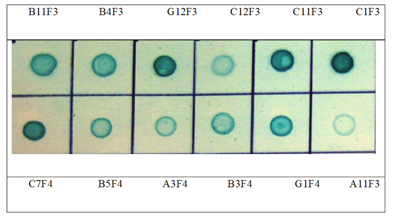 Figure 5.