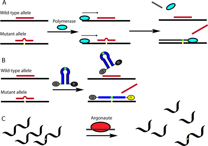 Figure 21