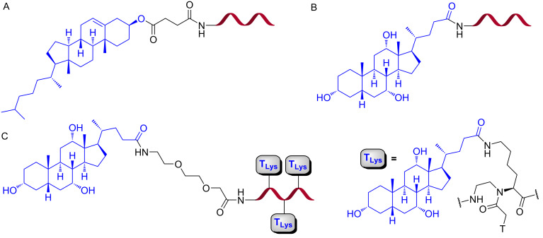 Figure 17