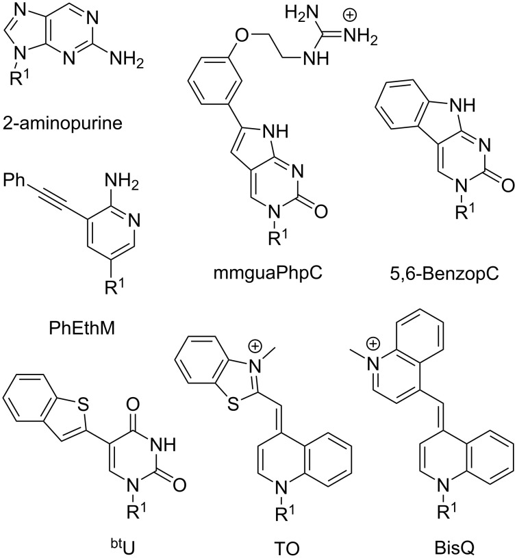 Figure 10