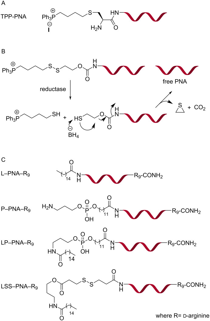 Figure 16