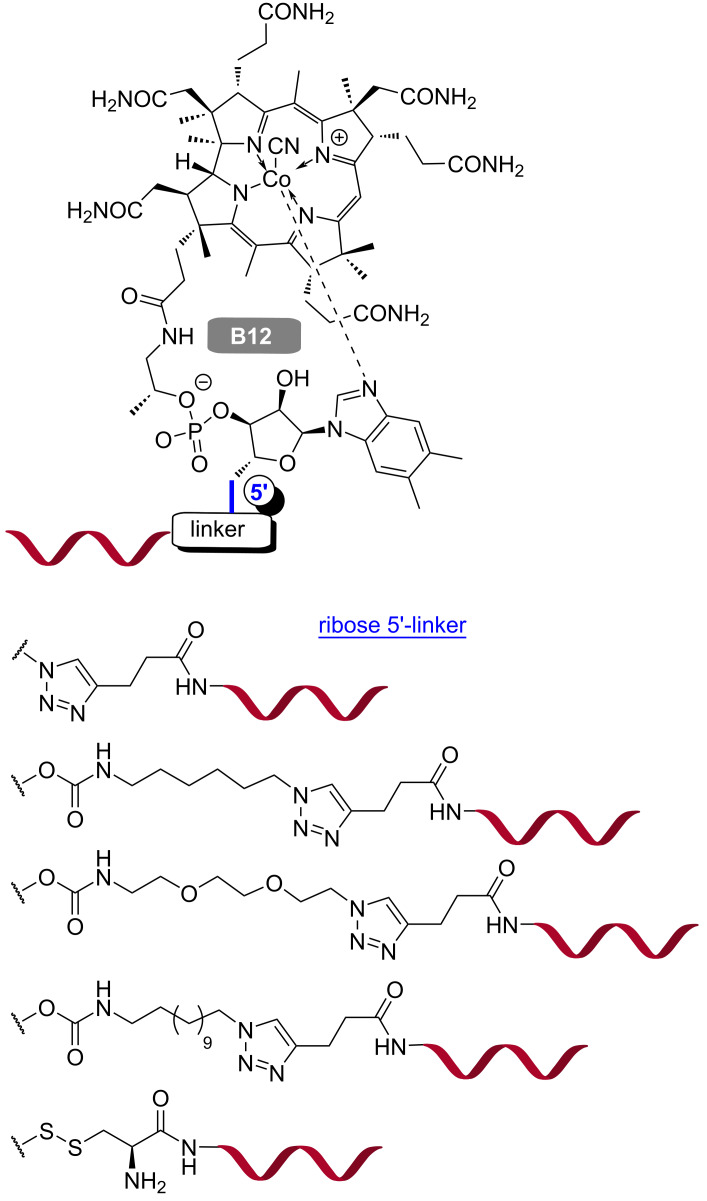 Figure 19