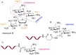 Figure 20