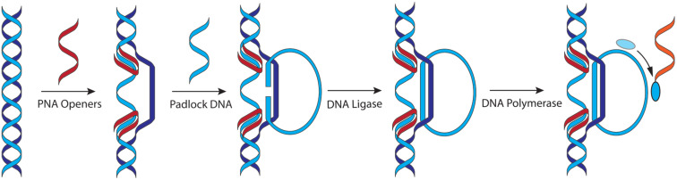 Figure 22