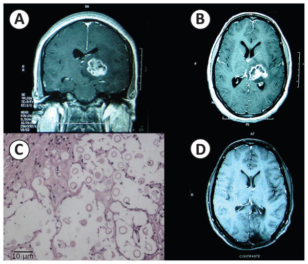 FIGURE 1