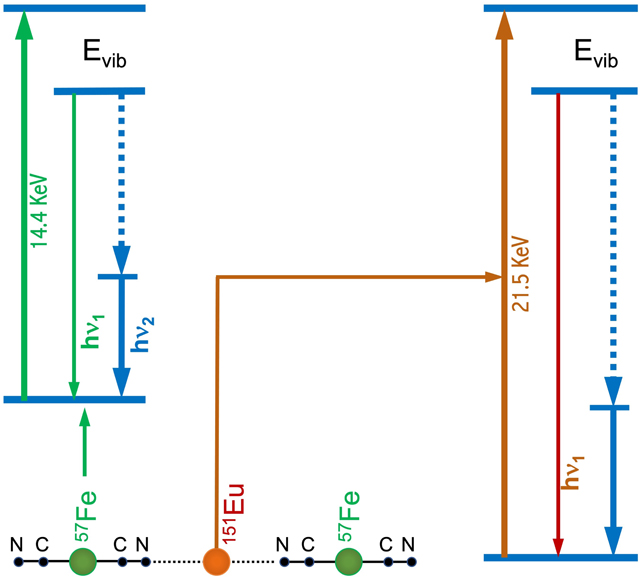 graphic file with name nihms-1849634-f0005.jpg