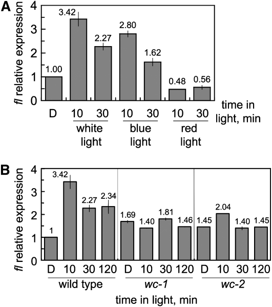 Figure 2.—