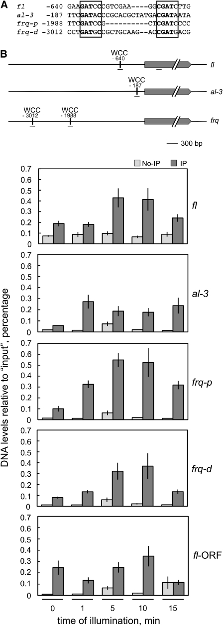 Figure 3.—