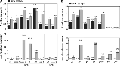 Figure 4.—