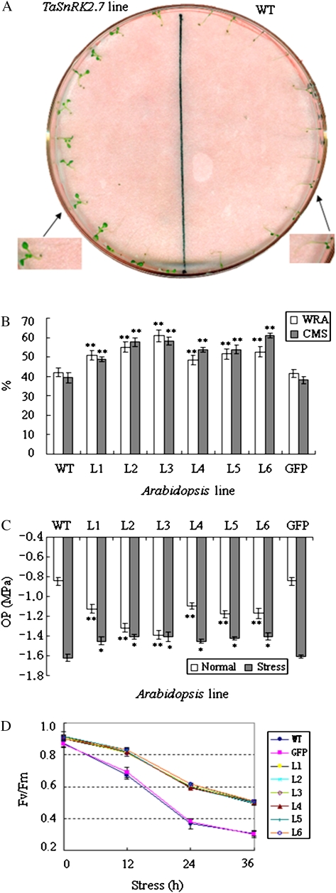 Fig. 9.