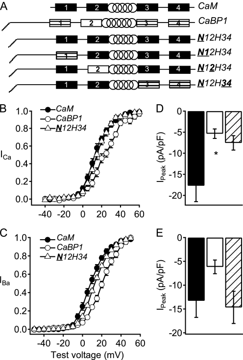 FIGURE 1.