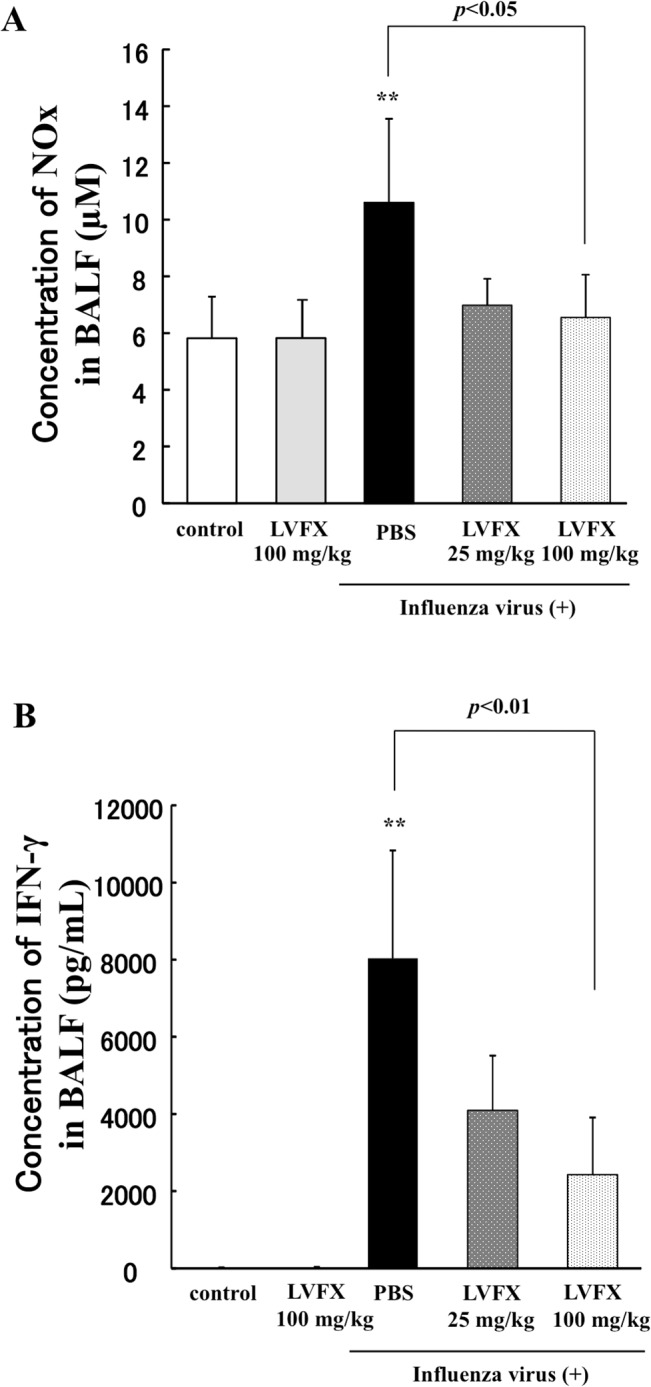 Fig 5