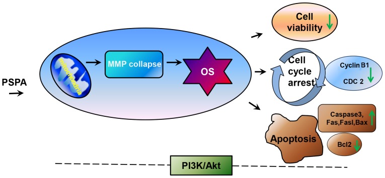 Figure 9.