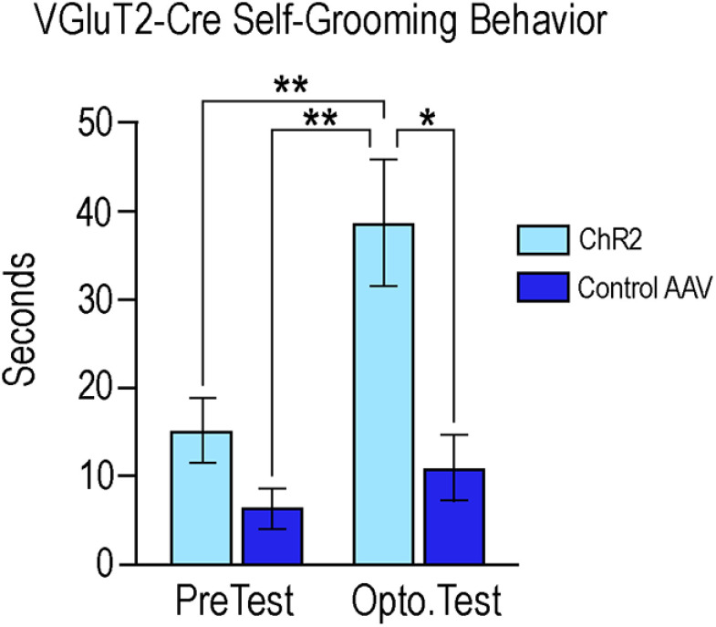 Figure 11.