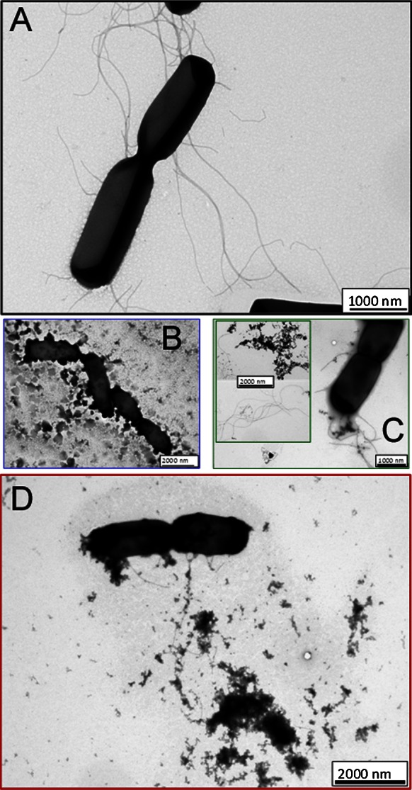 Fig. 5