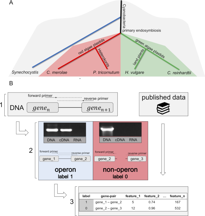 Figure 1.