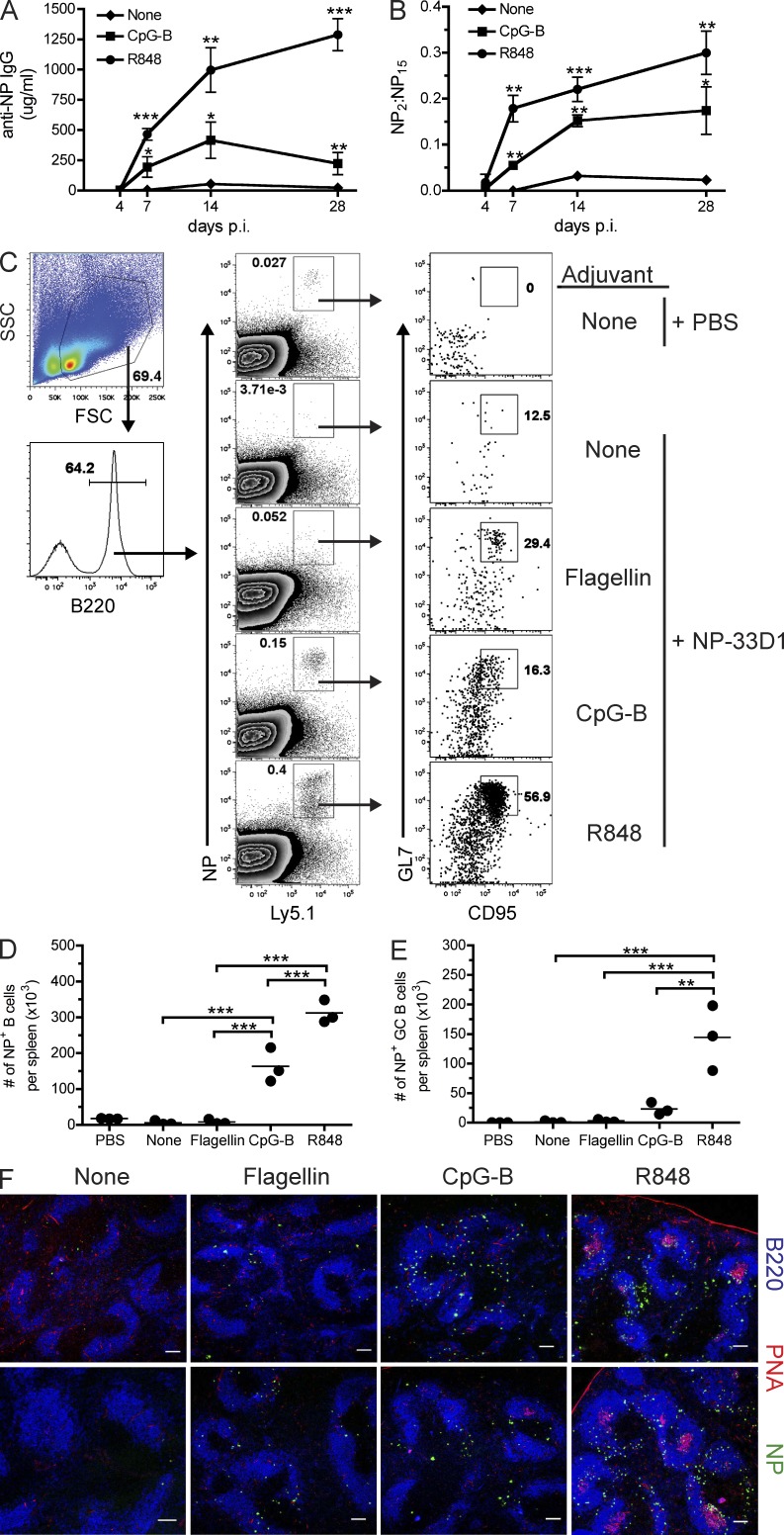 Figure 10.