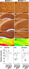 Figure 9.