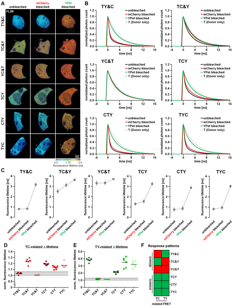 FIGURE 3