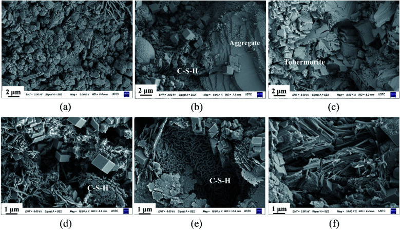 Fig. 7