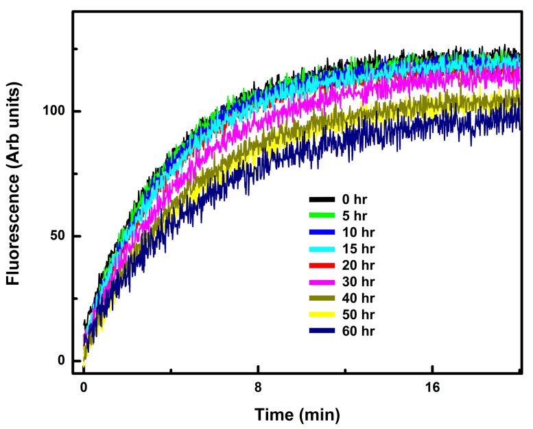 Figure 1—figure supplement 1.