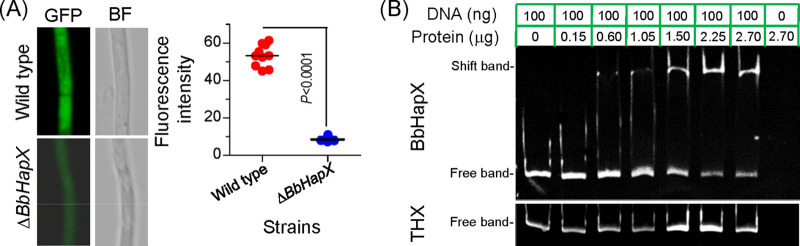 FIG 6