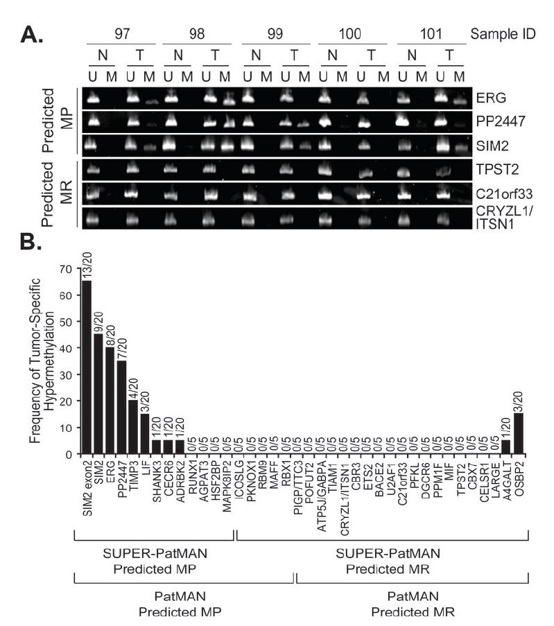 Figure 5