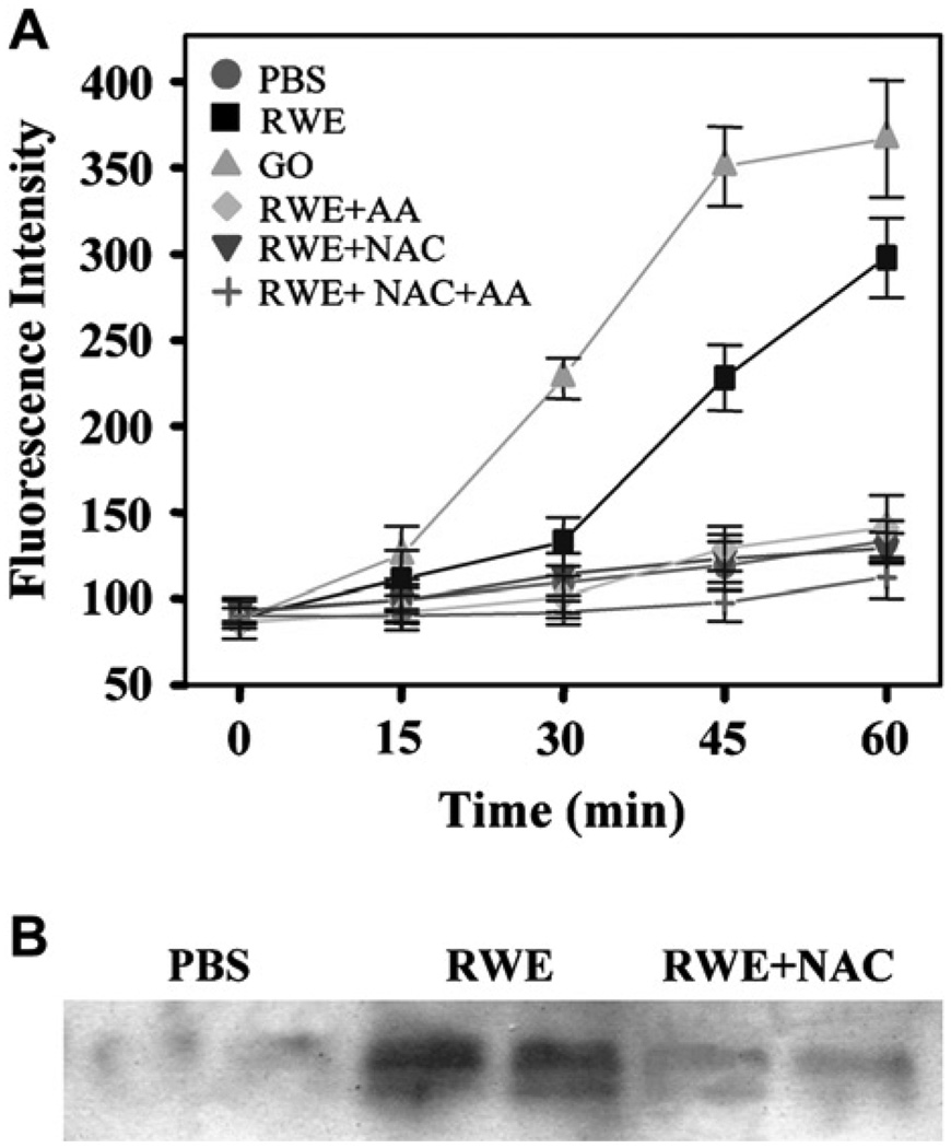 FIG 2