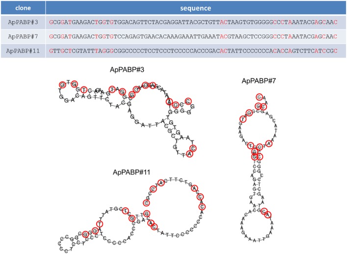 Fig 4