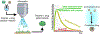 Fig. 10.